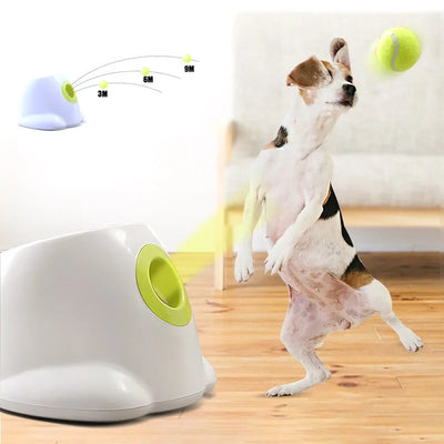 discountgiftsandgadgets, discountgiftsandgadgets.com, Tennis Ball Launcher