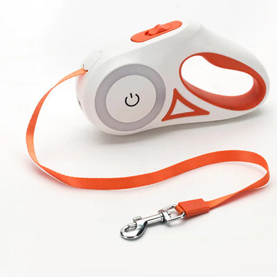 discountgiftsandgadgets, discountgiftsandgadgets.com, Led Lights Dog Leash