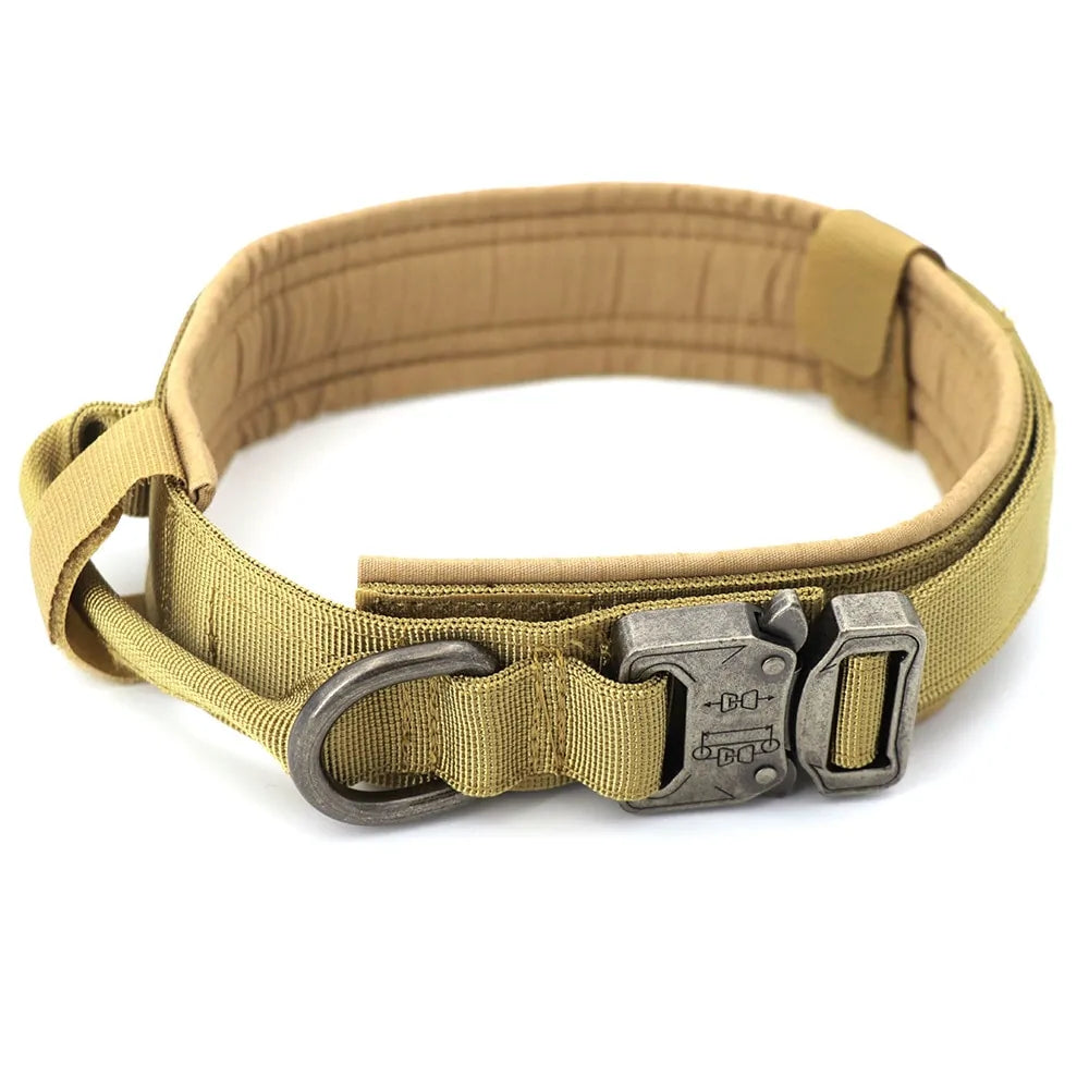 discountgiftsandgadgets, discountgiftsandgadgets.com, Dog Collar