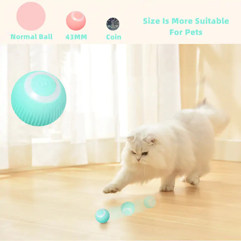 discountgiftsandgadgets, discountgiftsandgadgets.com, Smart Cat Ball Toys