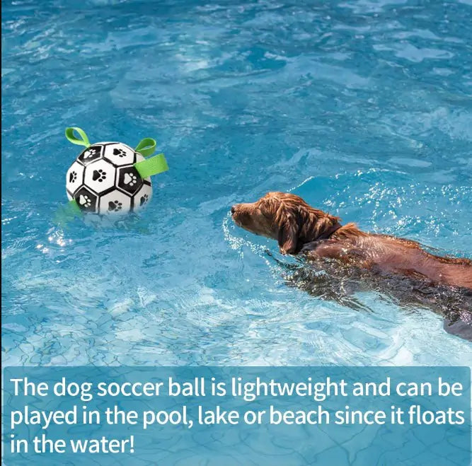 Interactive Dog Toy Football