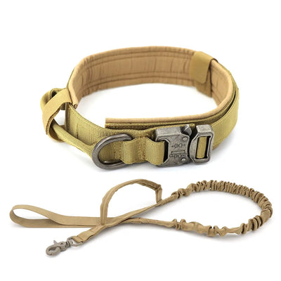 discountgiftsandgadgets, discountgiftsandgadgets.com, Dog Collar