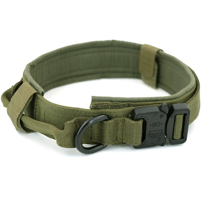 discountgiftsandgadgets, discountgiftsandgadgets.com, Dog Collar