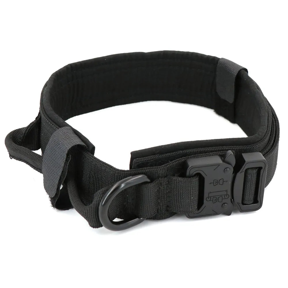 discountgiftsandgadgets, discountgiftsandgadgets.com, Dog Collar