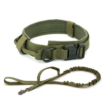 discountgiftsandgadgets, discountgiftsandgadgets.com, Dog Collar