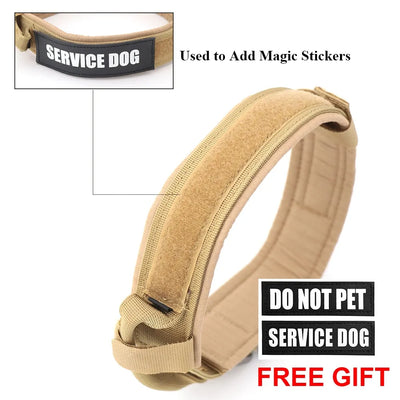 discountgiftsandgadgets, discountgiftsandgadgets.com, Dog Collar 