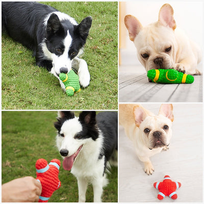 Squeaky Dog Toys