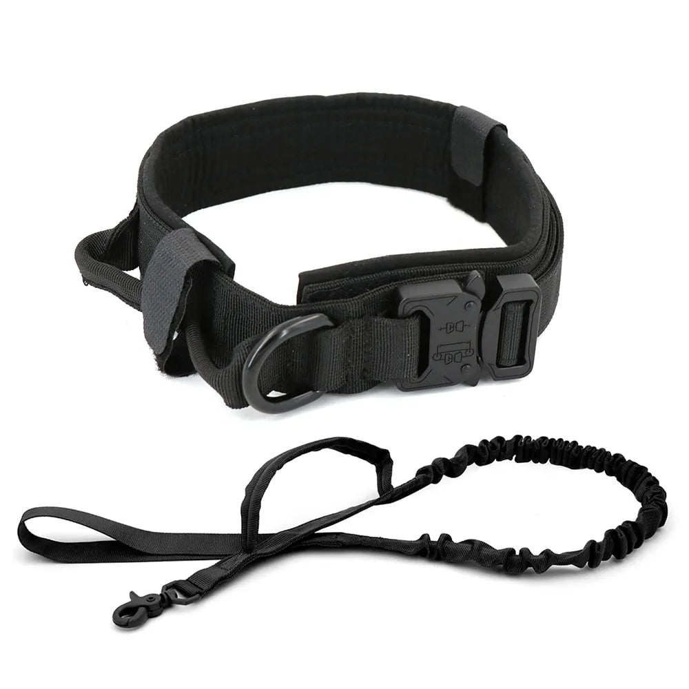 discountgiftsandgadgets, discountgiftsandgadgets.com, Dog Collar